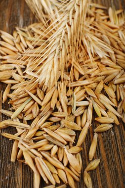 kulaklar ve tahıllar çavdar