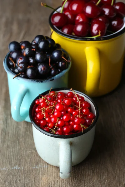 Renk kupalar meyveleri — Stok fotoğraf