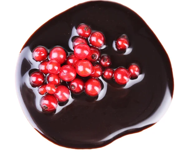 Berries  in chocolate sauce — Stock Photo, Image