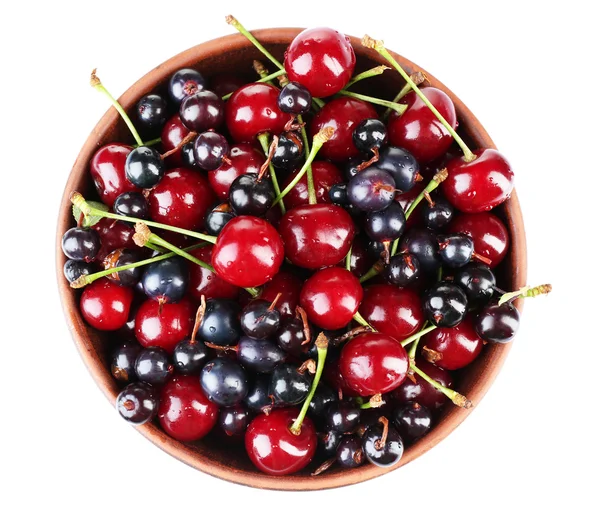 Berries in color bowl — Stock Photo, Image