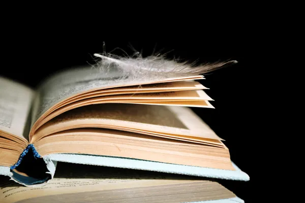 Feather lying on book — Stock Photo, Image