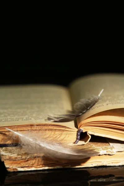 Feder liegt auf Buch — Stockfoto