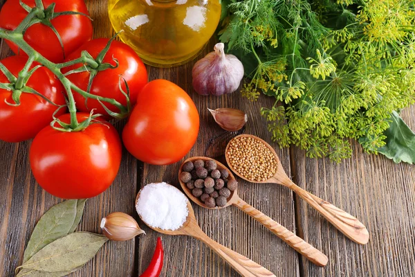 Färska grönsaker, örter och kryddor — Stockfoto