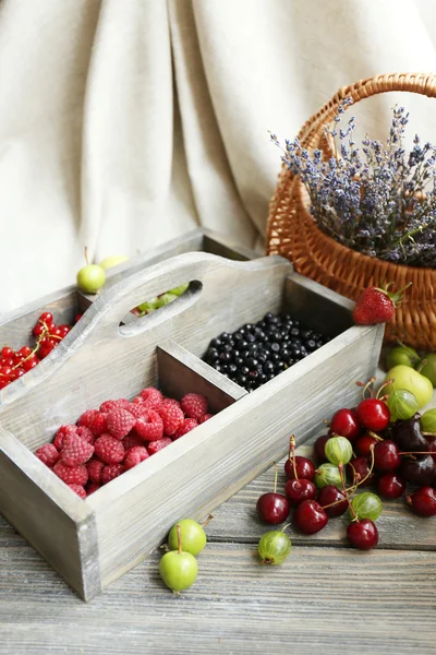 Beeren und Blumen — Stockfoto