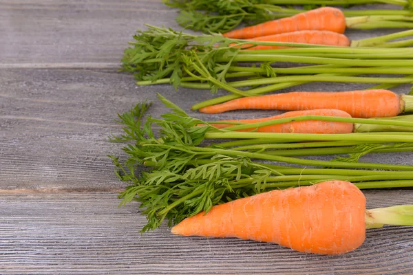 Fresh carrot with leaves — Stock Photo, Image