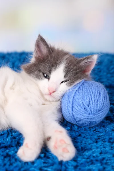 Niedliches kleines Kätzchen liegt auf blauem Teppich — Stockfoto