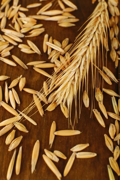 Zrna žita a uši — Stock fotografie