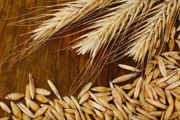 Rye grains and ears — Stock Photo, Image