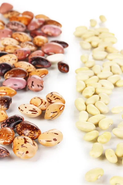 Sprinkled white and brown beans close-up isolated on white — Stock Photo, Image