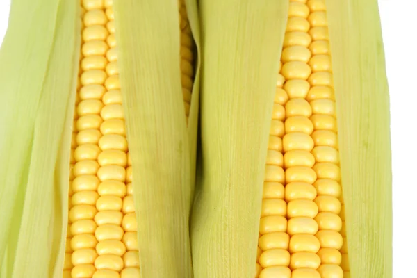 Crude corns — Stock Photo, Image