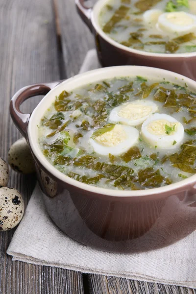 Вкусный зеленый суп — стоковое фото