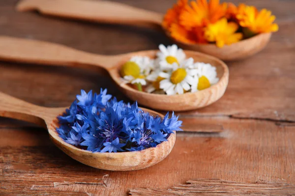 Fresh medical herbs — Stock Photo, Image