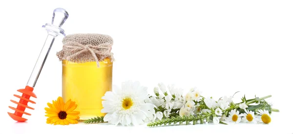 Honung och vilda blommor — Stockfoto