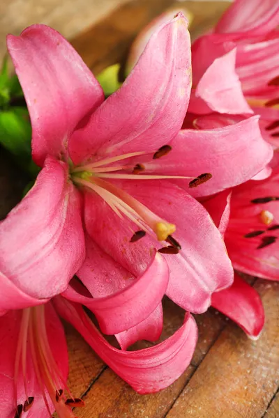 Schöne Lilienblüten — Stockfoto