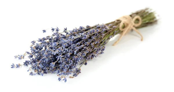 Lavender flowers isolated on white — Stock Photo, Image