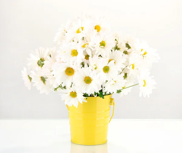 Daisies in vase — Stock Photo, Image