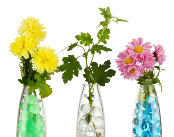 Beautiful flowers in vases — Stock Photo, Image