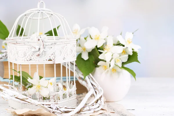 Spring composition with jasmine flowers — Stock Photo, Image