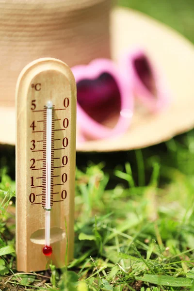 Thermometer on grass — Stock Photo, Image