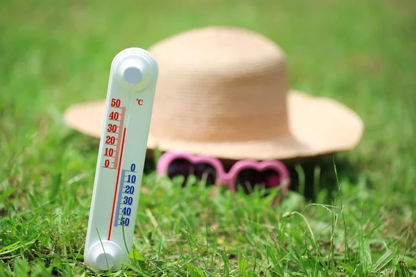 Thermometer on grass — Stock Photo, Image