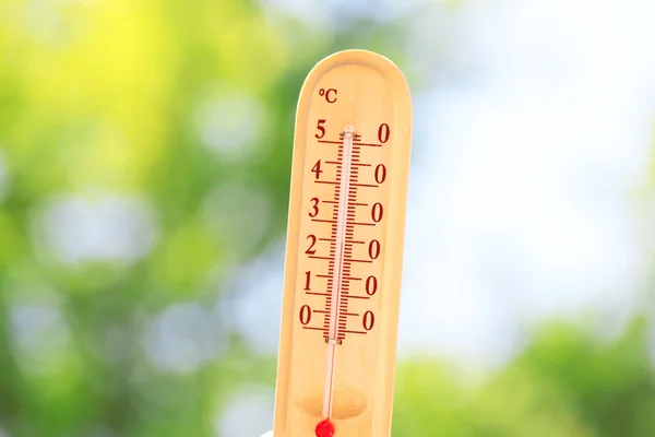 Thermometer on nature — Stock Photo, Image