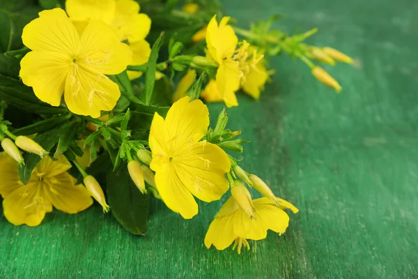 Beautiful yellow wild flowers — Stock Photo, Image