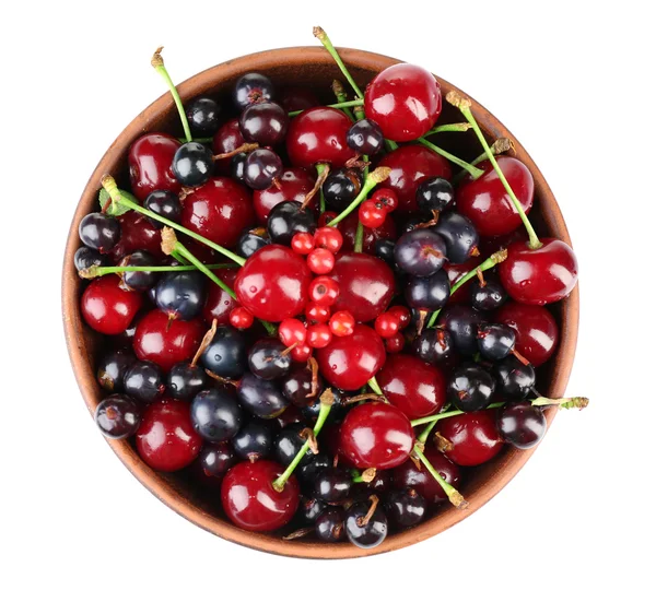 Summer berries in color bowl — Stock Photo, Image