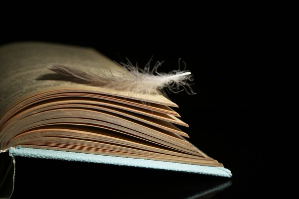 躺在翻开的书页上的羽毛 — 图库照片