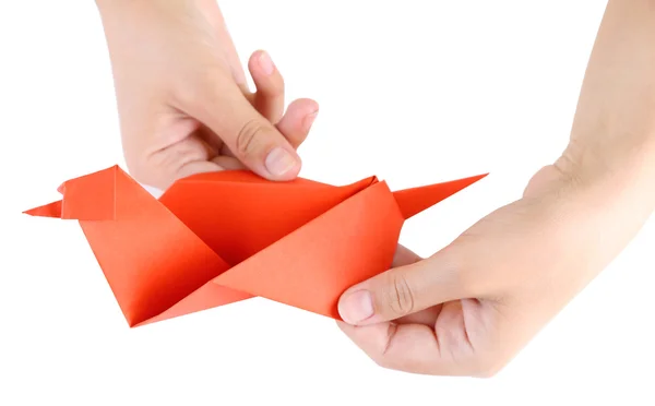 Mani che fanno origami uccello — Foto Stock