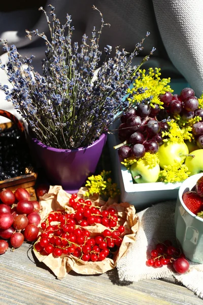 Bacche e fiori — Foto Stock