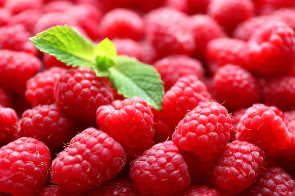 Ripe sweet raspberries — Stock Photo, Image