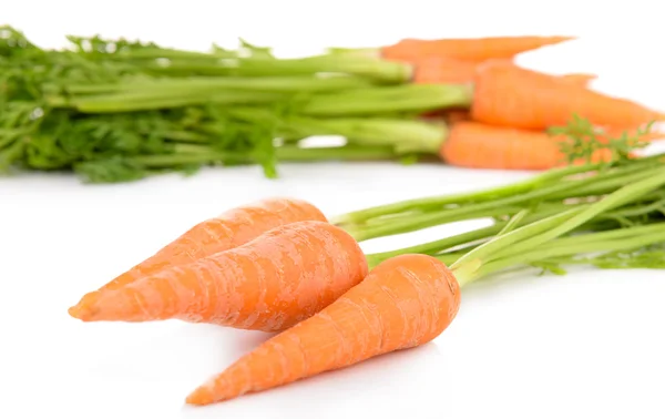 Carrot with leaves — Stock Photo, Image