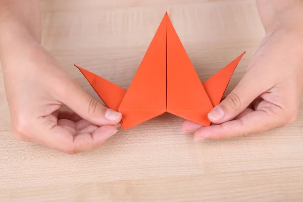 Mani che fanno origami figura — Foto Stock