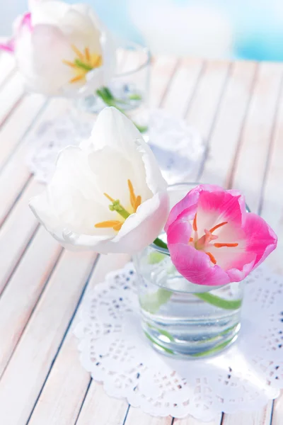 Hermosos tulipanes en cubo en jarrón — Foto de Stock