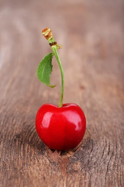 Cereza dulce madura — Foto de Stock