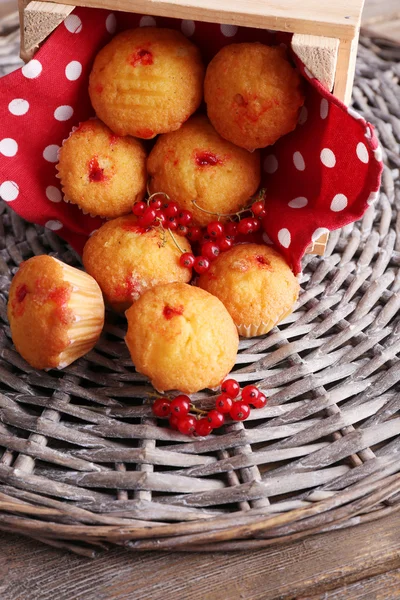 Muffins med röda vinbär — Stockfoto