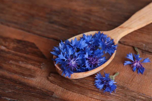 Cornflowers in wooden spoon — Stock Photo, Image