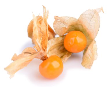 Physalis meyve