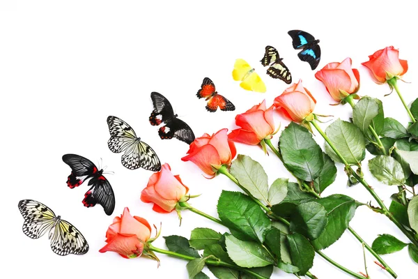 Hermosas mariposas y rosas rojas, aisladas en blanco — Foto de Stock