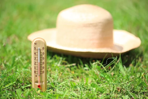 Thermometer on grass close-up — Stock Photo, Image