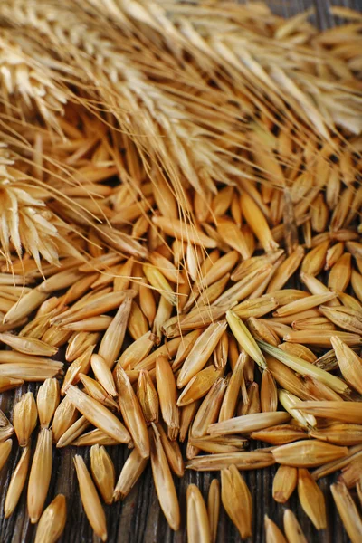 Rye grains and ears on table, close-up — Stock Photo, Image