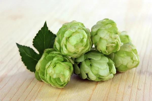 Houblon vert frais, sur fond bois — Photo