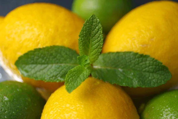 Citroner och limefrukter med mynta, närbild — Stockfoto