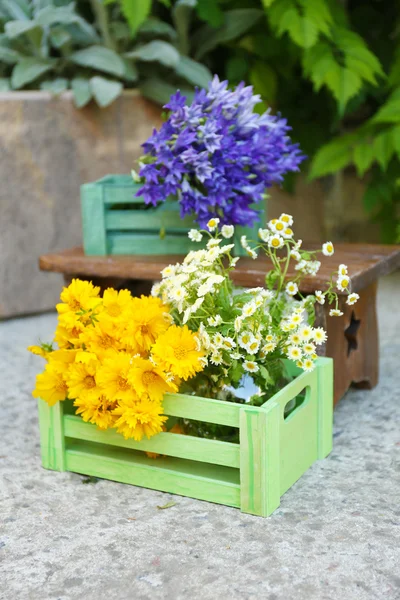 Gartendekoration mit Wildblumen, im Freien — Stockfoto