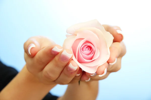 Mooie vrouw handen met roos, op blauwe achtergrond — Stockfoto