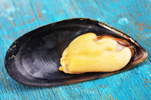 Mussel in shell on blue wooden table — Stock Photo, Image