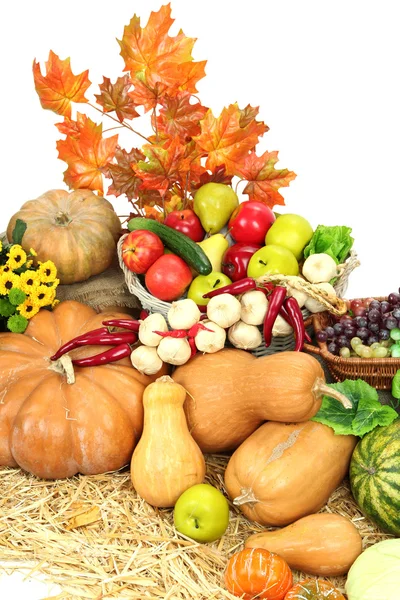 Sammansättning med frukt och grönsaker isolerad på vit — Stockfoto