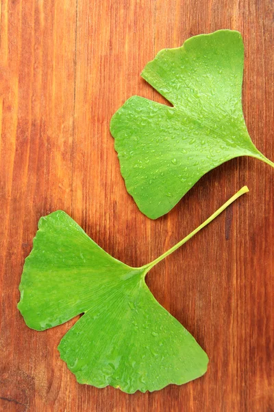 Ginkgo biloba blad på trä bakgrund — Stockfoto