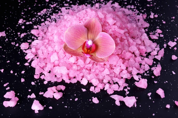 Красива квітуча орхідея квітка і купа морської солі, ізольовані на чорному — стокове фото