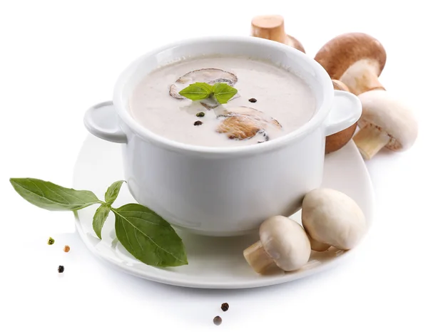 Sopa de champiñones en tazón blanco, en plato, aislado en blanco — Foto de Stock